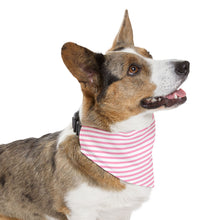 Load image into Gallery viewer, Pink Striped Dog Bandana | Preppy Personalized Pet Scarf for Stylish Pups