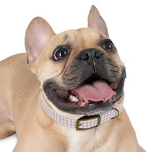 Load image into Gallery viewer, Coastal Plaid  Dog Collar | Preppy Personalized Pet Accessory for Stylish Pups