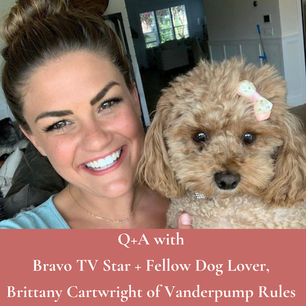 Q+A with Bravo TV Star and Fellow Dog Lover, Brittany Cartwright of Vanderpump Rules