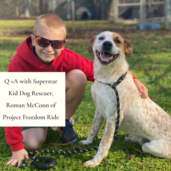 Q +A with Superstar Kid Dog Rescuer, Roman McConn of Project Freedom Ride