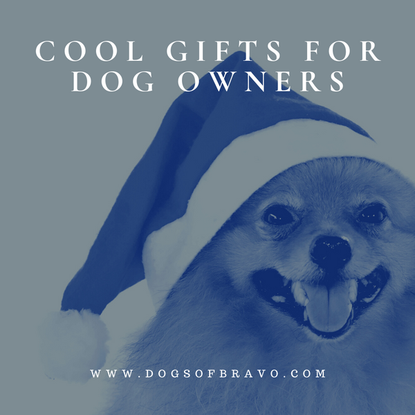 Cool Gifts for Dog Owners | Christmas Gifts