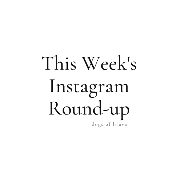 This Week's Instagram Round-up | Dogs of Bravo