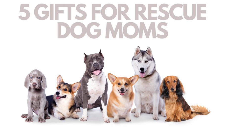 Gifts for Rescue Dog Moms